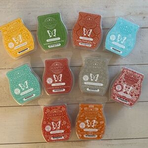 Bundle of 10 New Scentsy Bars